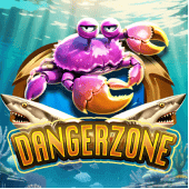 Danger Zone Game Image